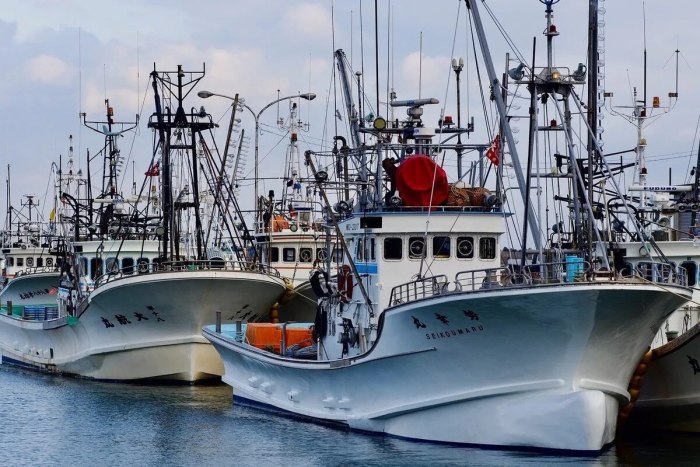 Рыболовное судно (Fishing Vessel)
