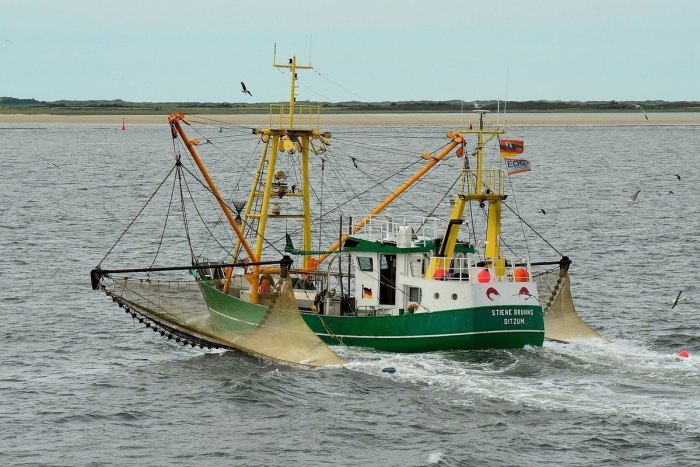 Рыболовное судно (Fishing Vessel)