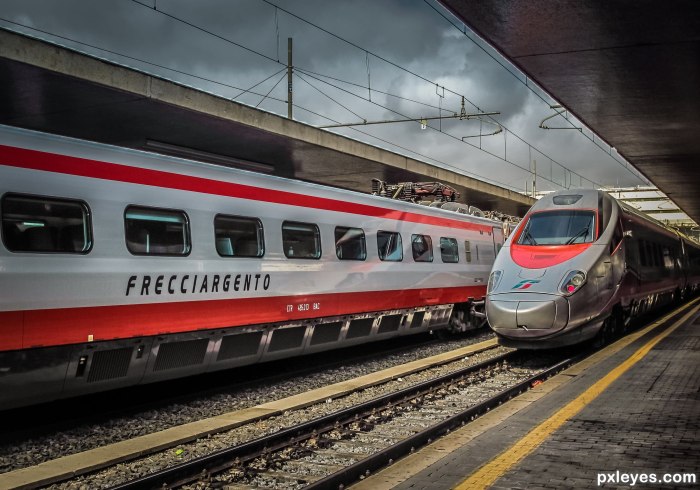 Frecciargento поезд