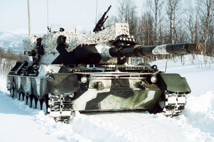 Камуфляж леопард 1