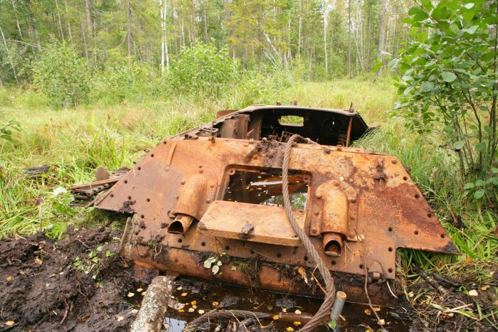 Танк в болоте Синявино