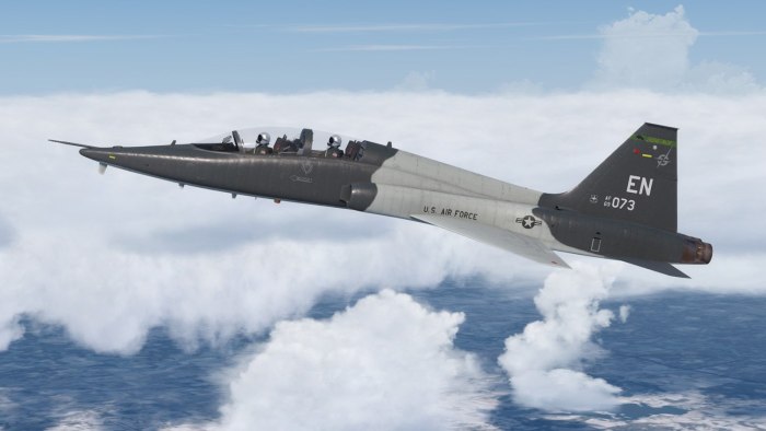 T38 Talon черный