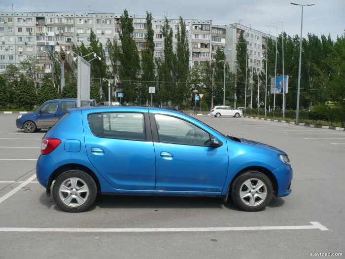 Рено Сандеро голубой