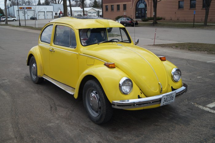 Volkswagen Beetle Type 1