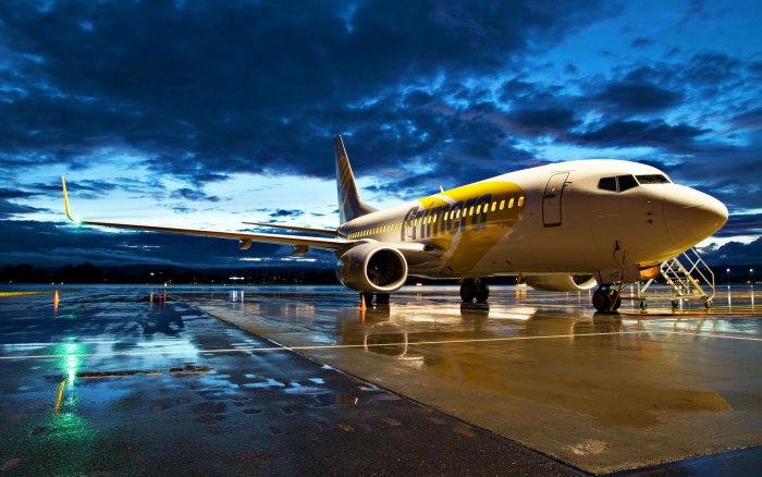 Боинг 737-800