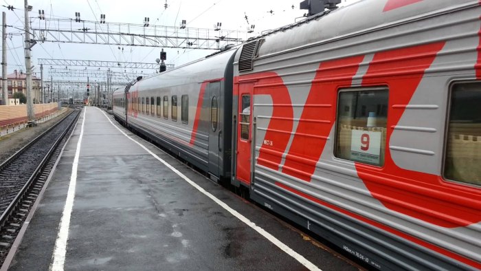 Поезд дальнего следования
