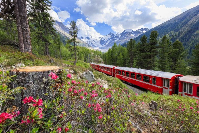 Поезд Италия Швейцария Bernina Express