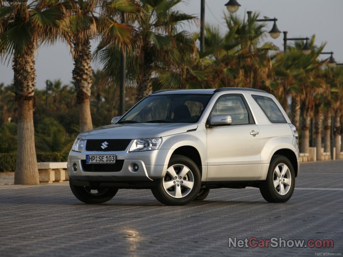 Suzuki Grand Vitara III