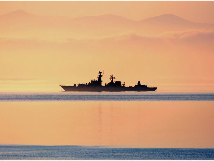 Военный корабль на горизонте