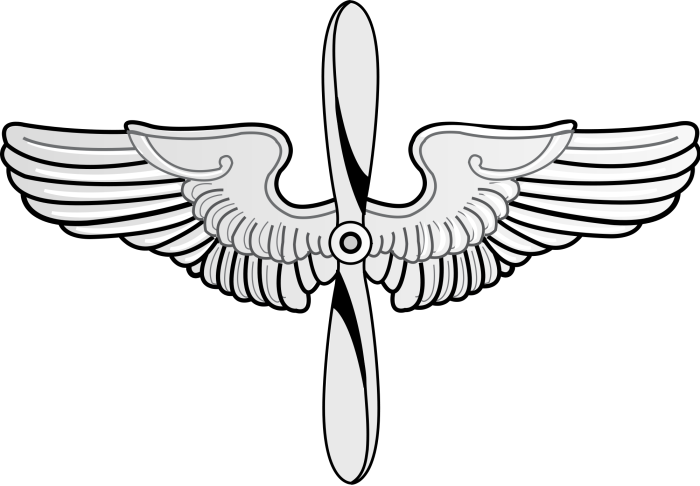 Символ авиации