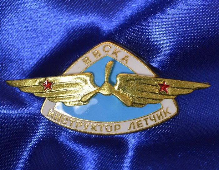 Значок ВВС СССР