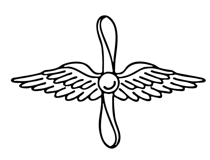 Петличный знак ВВС СССР