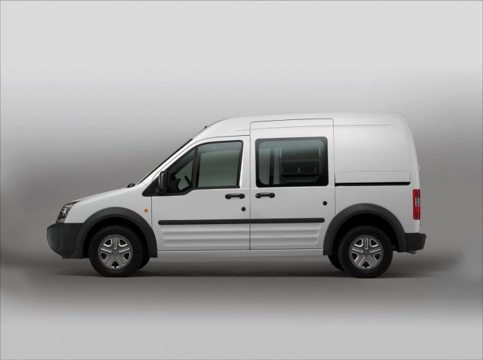 Ford Transit connect Грузопассажирский