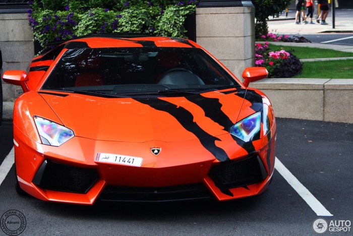 Lamborghini Aventador lp700-4 2011