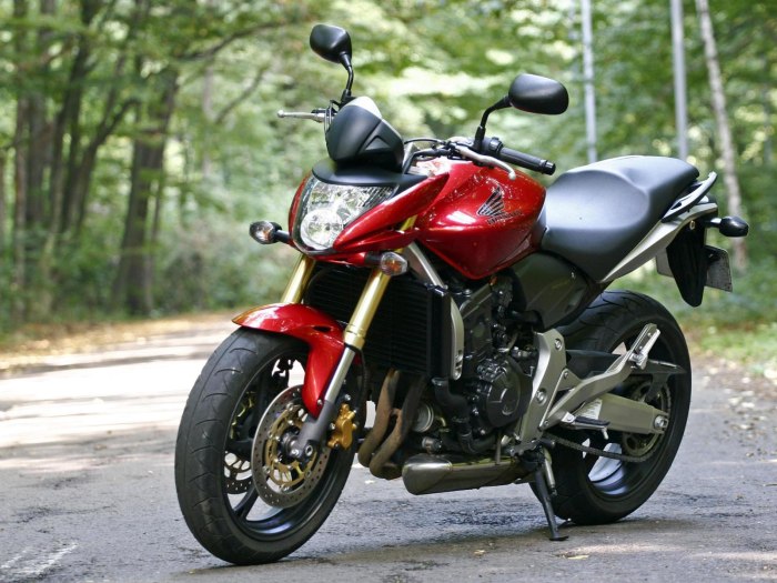 Honda CBR 600 Hornet