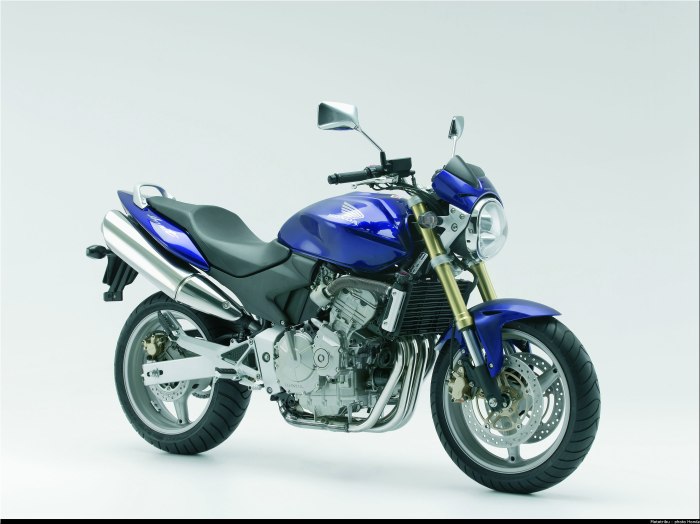 Honda CB 600 Hornet