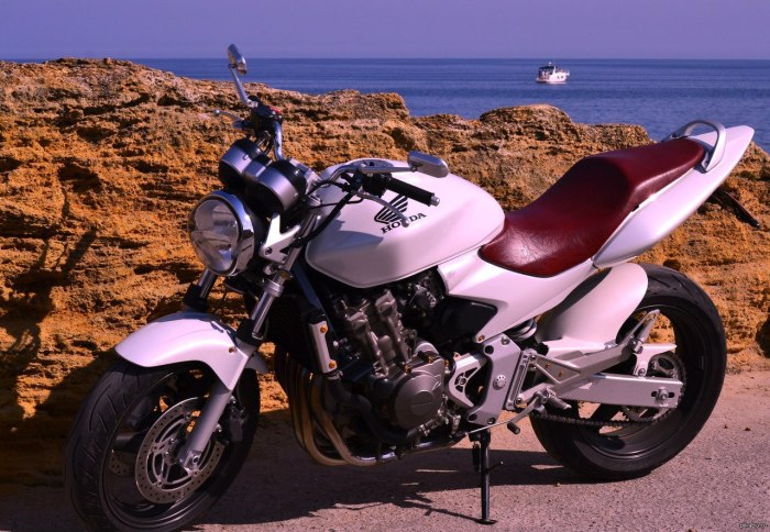 Honda cb600f Hornet 2003