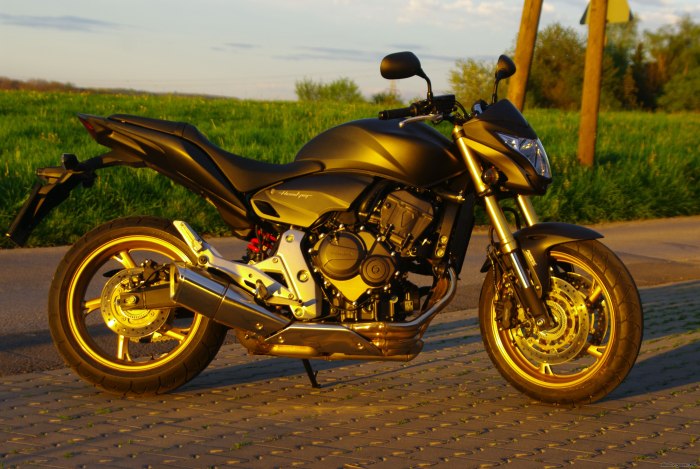 Honda Hornet 600