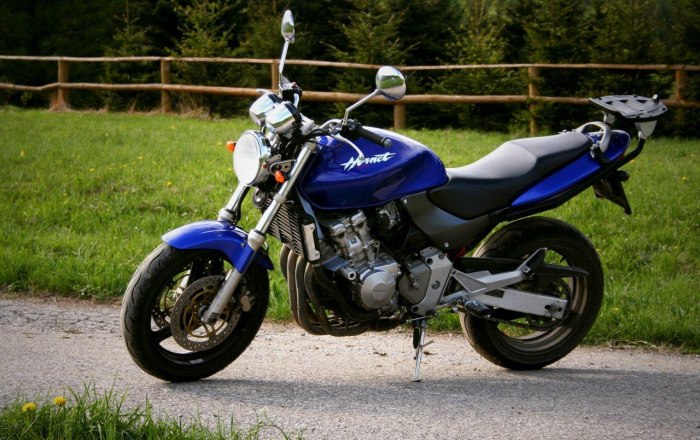 Honda CB 600 Hornet