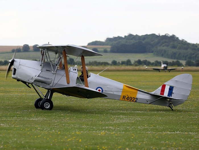 DH 82 Tiger Moth