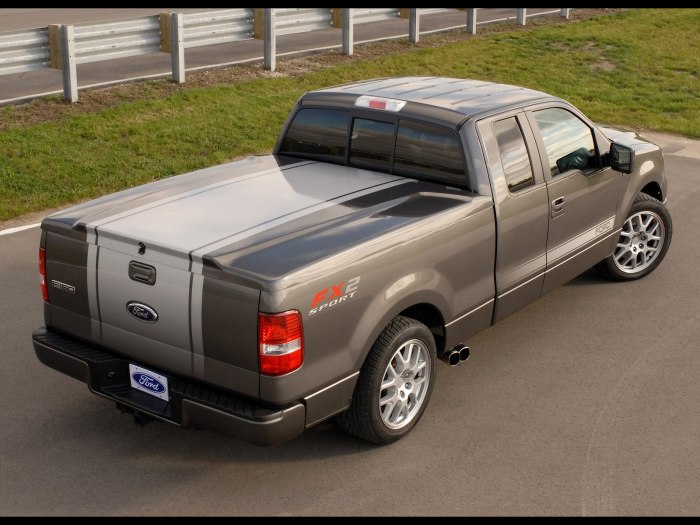 Ford 150 2006