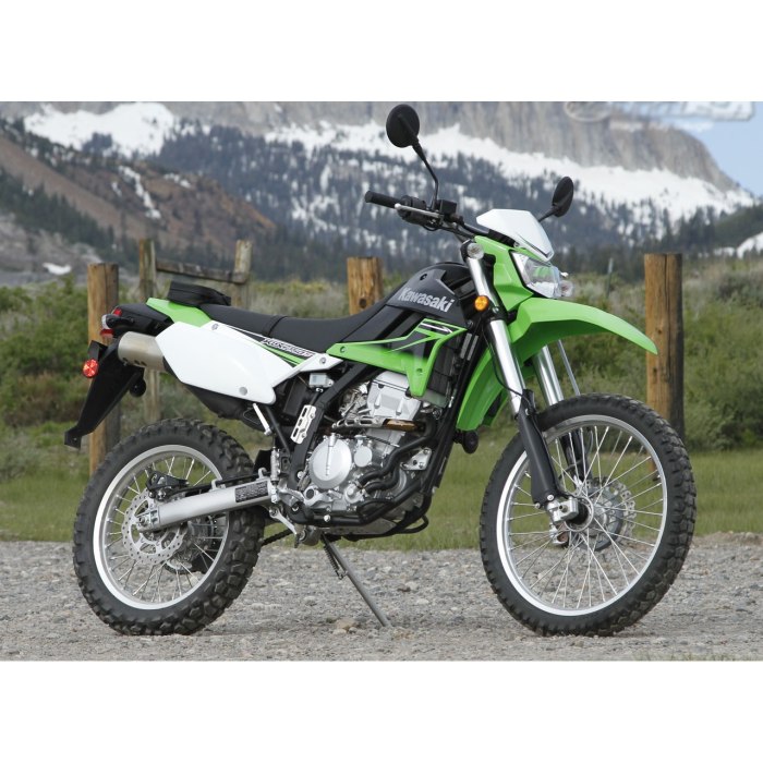 Kawasaki KLX 250 S 2011