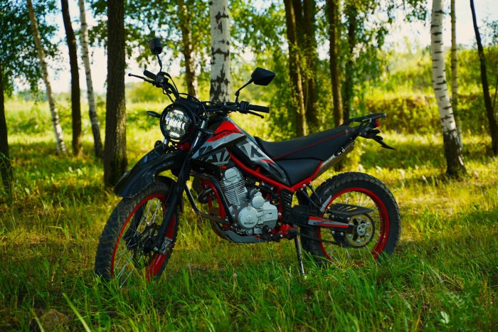 Ataki 300 эндуро