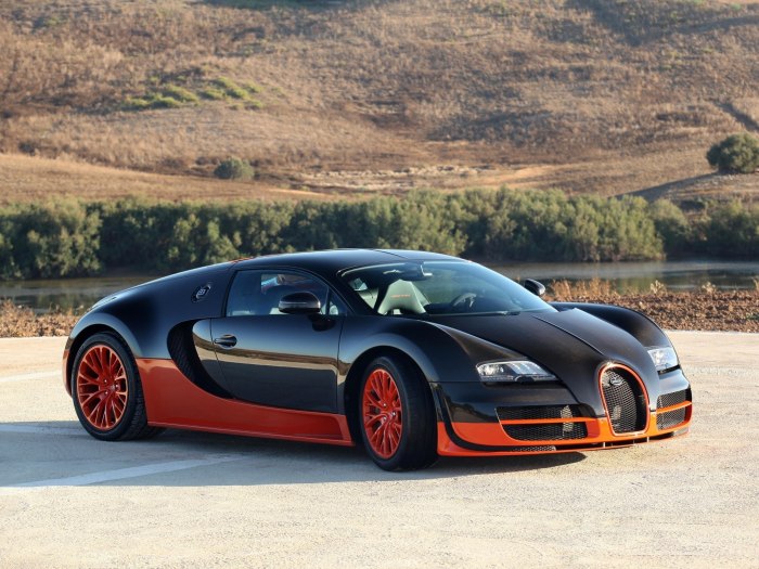 Bugatti Veyron 16.4