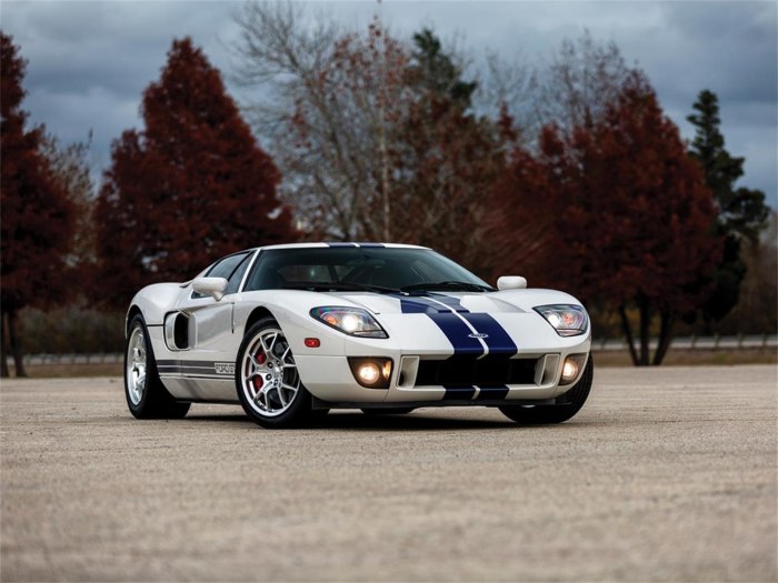 2005-2006 Ford gt