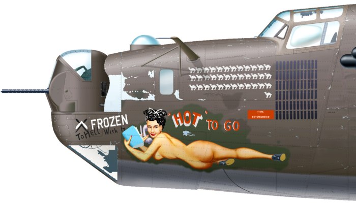Pin up на самолетах