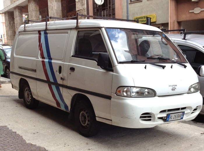 Hyundai Grace h100