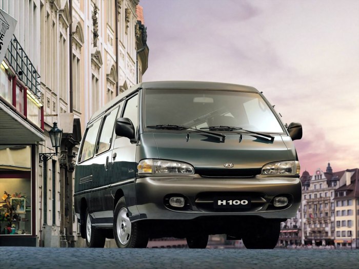 Hyundai Grace h100