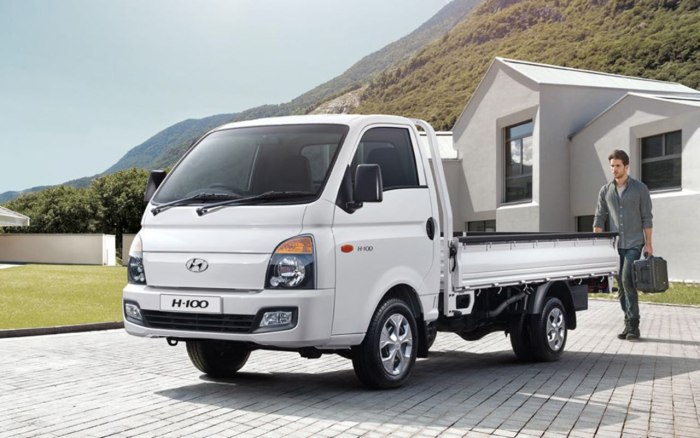 Hyundai h100 Porter