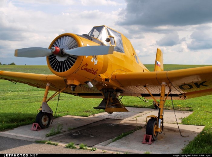 Ще-2 самолет