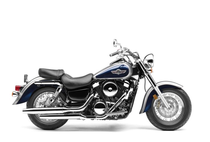 Kawasaki vn 1500 Classic