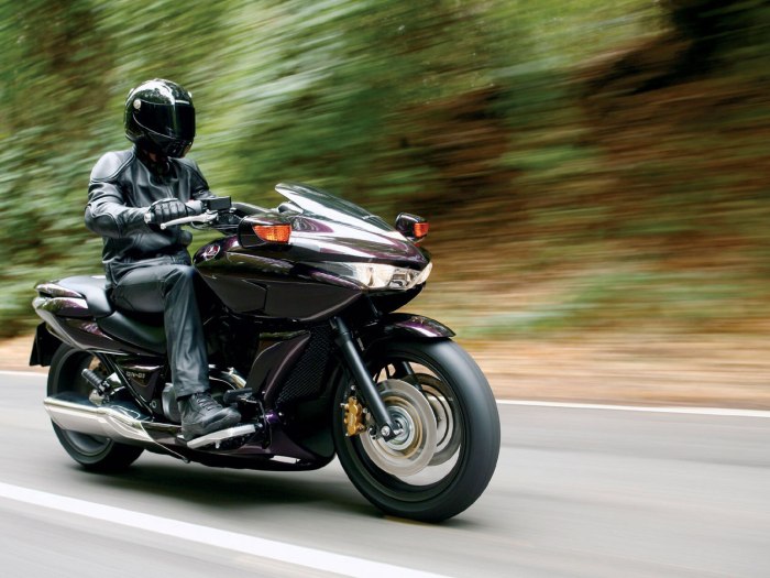 2008 Honda DN-01