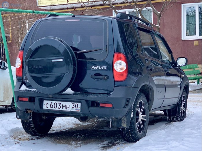 ВАЗ 2123 зад