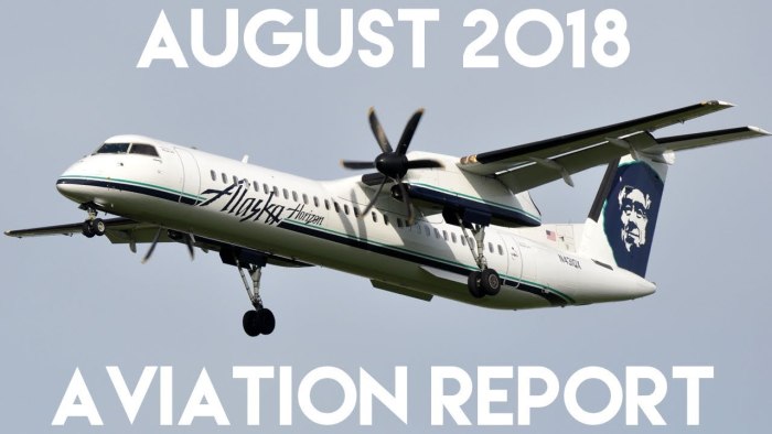 Dash 8 q300 Полярные авиалинии