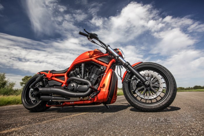V-Rod Porsche