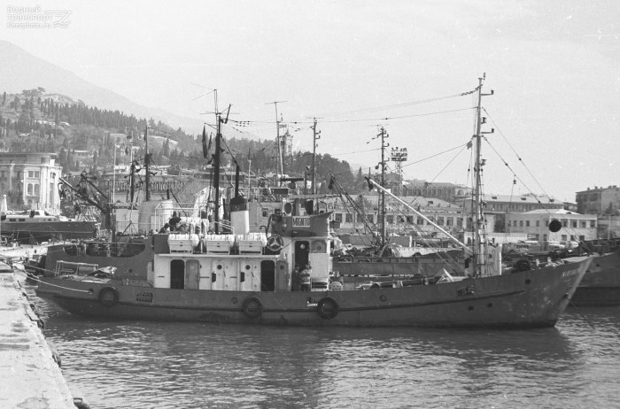 Средний Черноморский сейнер СЧС-225