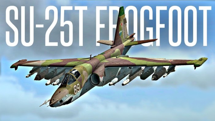 Су-25 Штурмовик