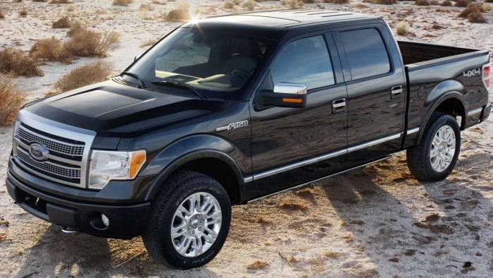 Форд платинум f-150