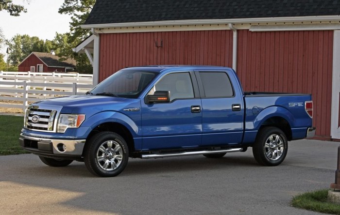 Ford 150 Truck