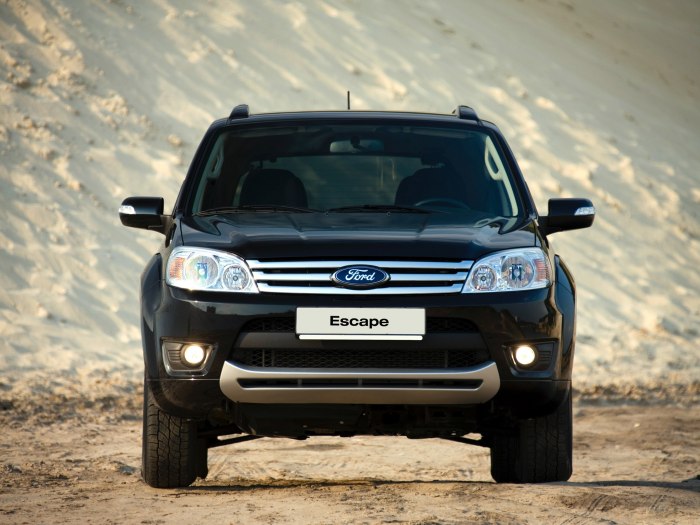 Ford Escape 2008 тайванец