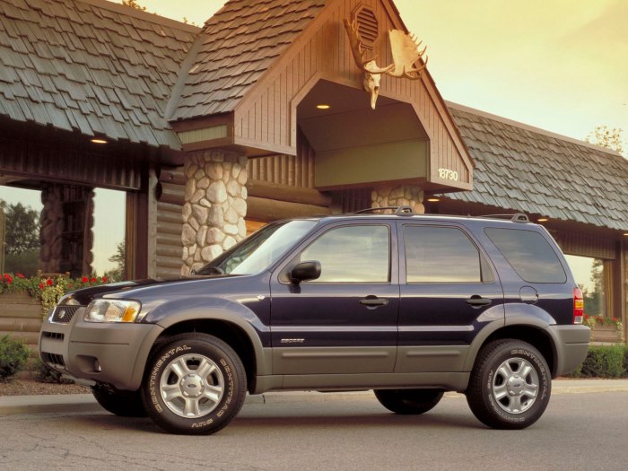 Ford Escape 1