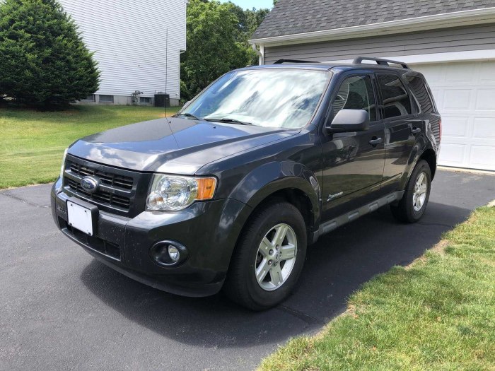 Ford Escape Hybrid 2008