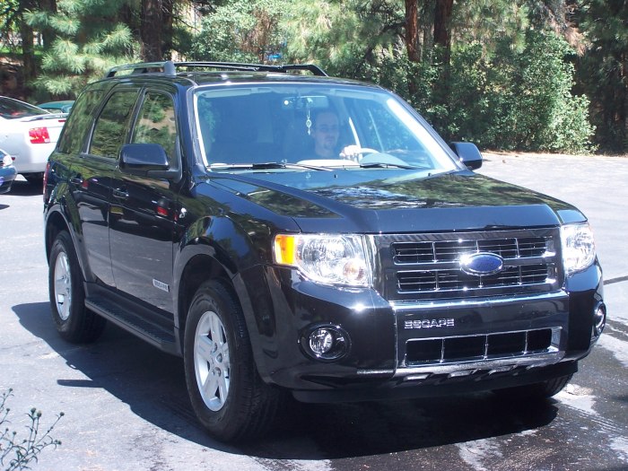 Ford Escape Hybrid 2008