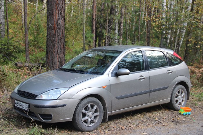 Ford Focus 2004 хэтчбек