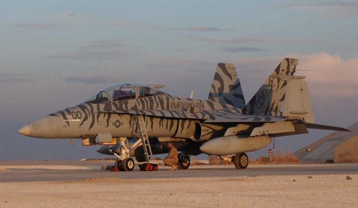 MCDONNELL Douglas f/a-16 Hornet