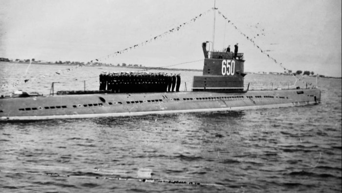 Подводные лодки проекта 613 бортовой 835